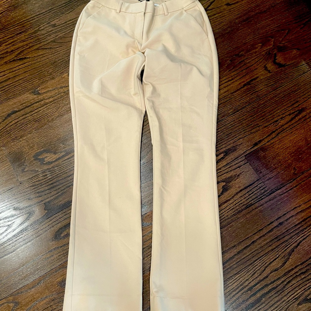 Express Columnist Dress Pants